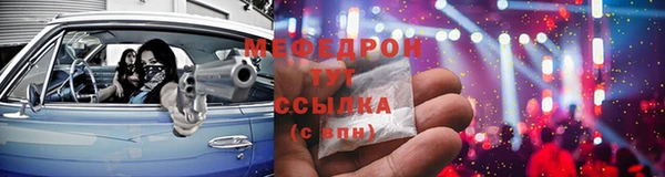 индика Богданович