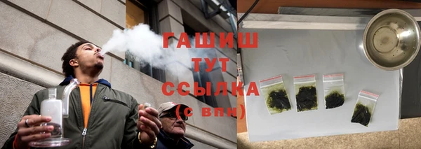 индика Богданович