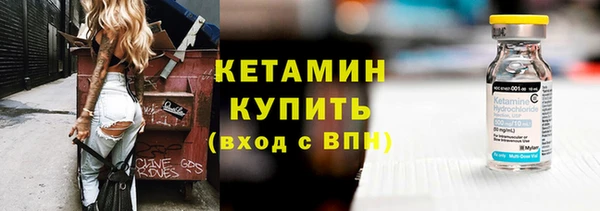индика Богданович