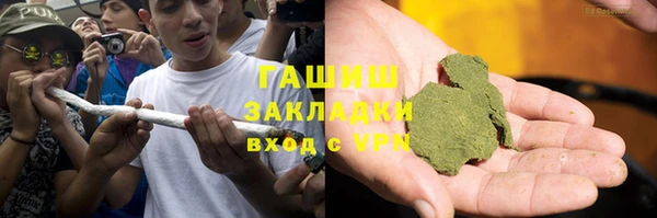 индика Богданович
