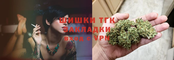 индика Богданович
