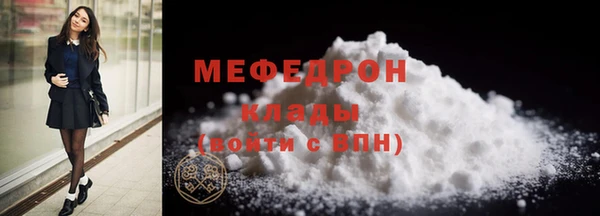 индика Богданович