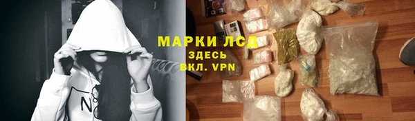 индика Богданович
