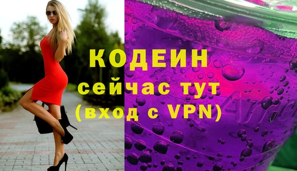 индика Богданович
