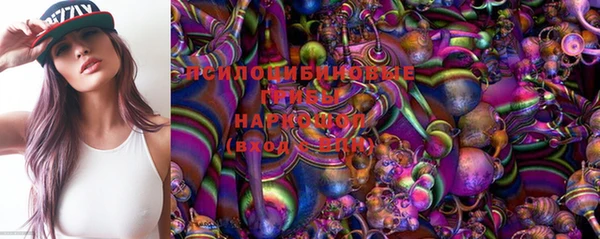 дурь Богородицк