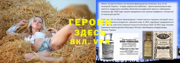 индика Богданович