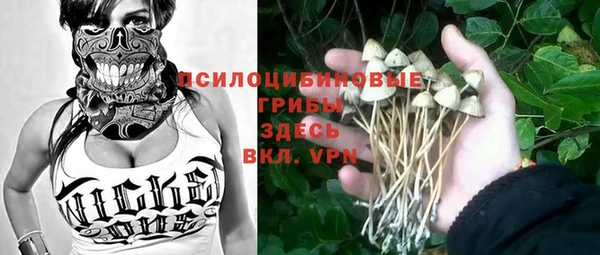 герыч Богородск
