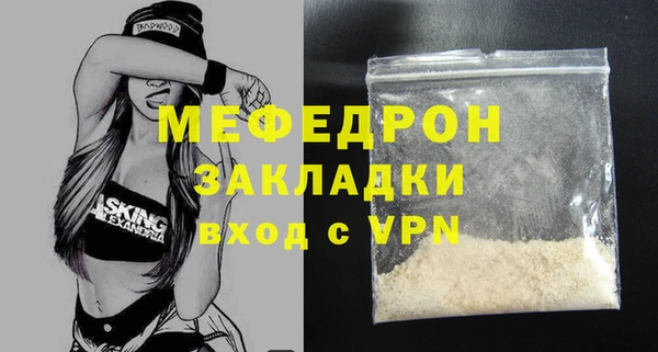 индика Богданович