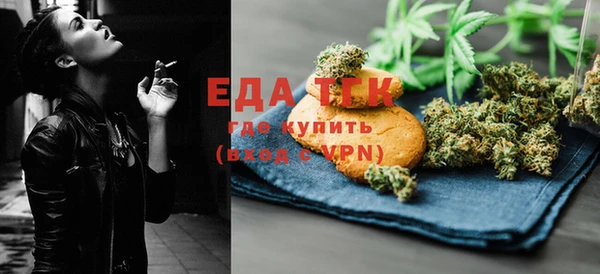 индика Богданович