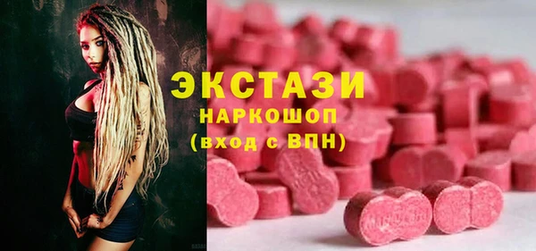 индика Богданович