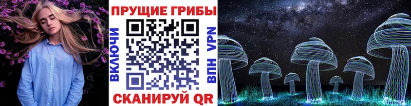 Псилоцибиновые грибы GOLDEN TEACHER  Купить  Артём 